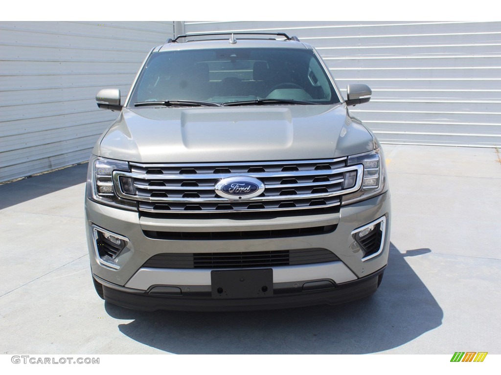 2019 Expedition Limited - Silver Spruce Metallic / Ebony photo #3
