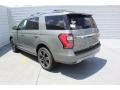 2019 Silver Spruce Metallic Ford Expedition Limited  photo #6
