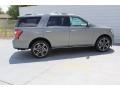 2019 Silver Spruce Metallic Ford Expedition Limited  photo #9