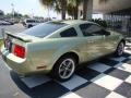 2006 Legend Lime Metallic Ford Mustang V6 Deluxe Coupe  photo #5