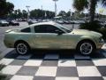 2006 Legend Lime Metallic Ford Mustang V6 Deluxe Coupe  photo #6