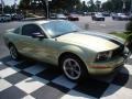 2006 Legend Lime Metallic Ford Mustang V6 Deluxe Coupe  photo #7