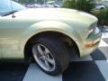 2006 Legend Lime Metallic Ford Mustang V6 Deluxe Coupe  photo #19
