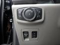 Earth Gray Controls Photo for 2019 Ford F150 #134512470