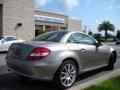 Pewter Metallic - SLK 350 Roadster Photo No. 6