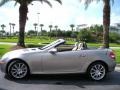 2006 Pewter Metallic Mercedes-Benz SLK 350 Roadster  photo #13