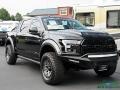 Agate Black 2019 Ford F150 Shelby BAJA Raptor SuperCrew 4x4 Exterior