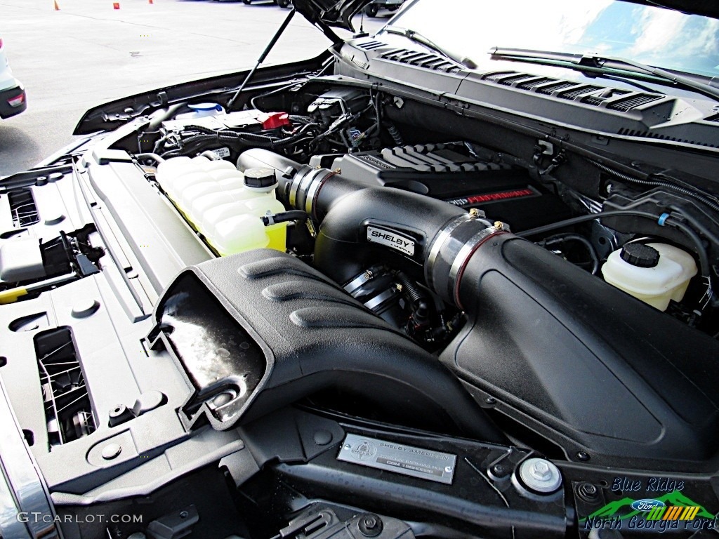 2019 Ford F150 Shelby BAJA Raptor SuperCrew 4x4 3.5 Liter PFDI Twin-Turbocharged DOHC 24-Valve EcoBoost V6 Engine Photo #134535568