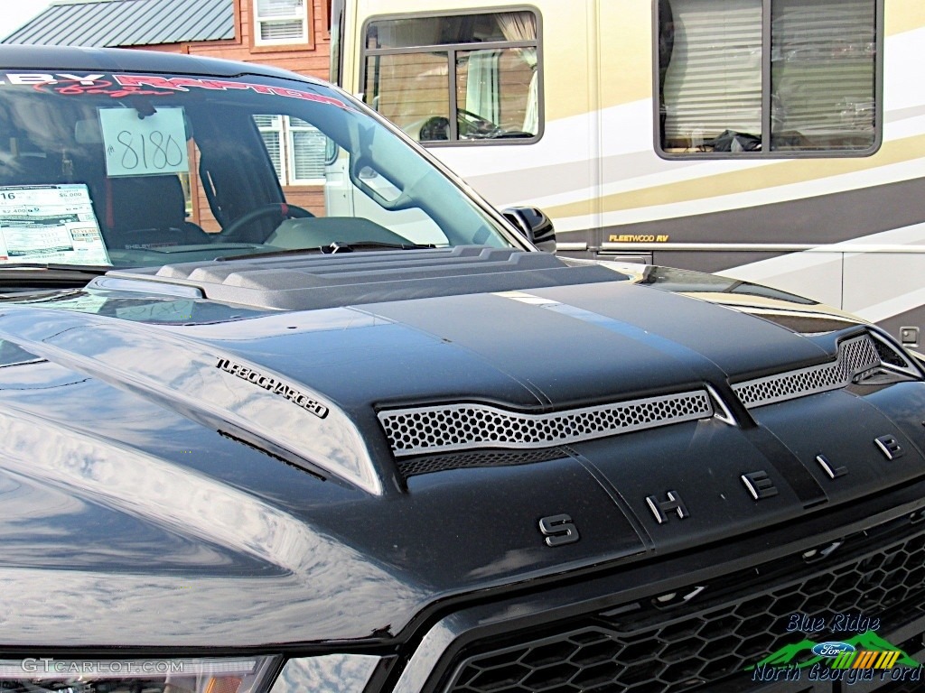 2019 F150 Shelby BAJA Raptor SuperCrew 4x4 - Agate Black / Raptor Black photo #41