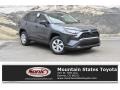 2019 Magnetic Gray Metallic Toyota RAV4 LE AWD  photo #1