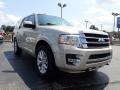2017 White Gold Ford Expedition Limited 4x4  photo #12