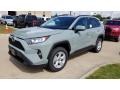 Lunar Rock - RAV4 XLE Photo No. 1