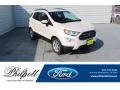 White Platinum - EcoSport SE Photo No. 1