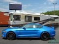 2019 Velocity Blue Ford Mustang GT Premium Fastback  photo #2
