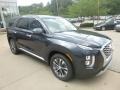 Steel Graphite 2020 Hyundai Palisade SEL AWD Exterior