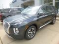 Steel Graphite - Palisade SEL AWD Photo No. 9