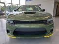 F8 Green - Charger GT Photo No. 2