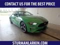 2019 Need For Green Ford Mustang EcoBoost Convertible #134588809