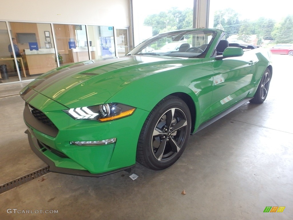 Need For Green 2019 Ford Mustang EcoBoost Convertible Exterior Photo #134592985