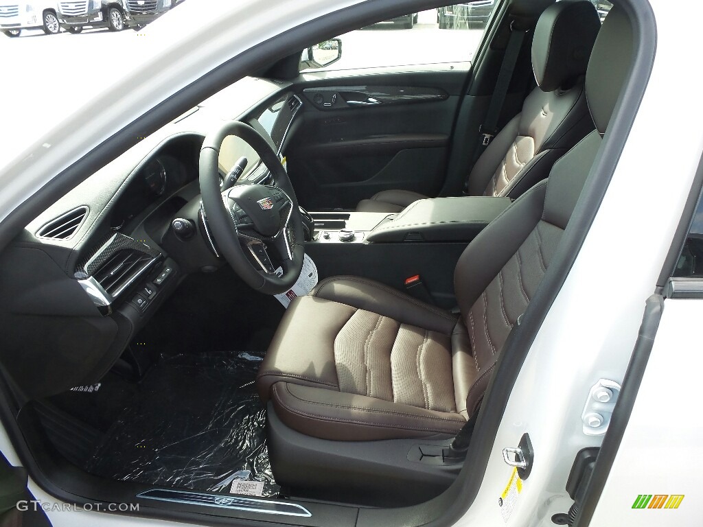 Dark Auburn/Jet Black Interior 2019 Cadillac CT6 Sport AWD Photo #134603037