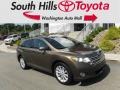 Golden Umber Mica 2010 Toyota Venza AWD