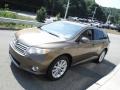 2010 Golden Umber Mica Toyota Venza AWD  photo #5