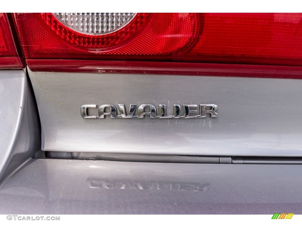 2004 Cavalier Sedan - Ultra Silver Metallic / Graphite photo #32