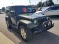 2008 Rescue Green Metallic Jeep Wrangler Sahara 4x4  photo #6