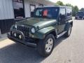 Rescue Green Metallic - Wrangler Sahara 4x4 Photo No. 8