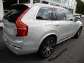 Birch Light Metallic - XC90 T6 AWD Inscription Photo No. 2