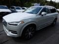 Birch Light Metallic - XC90 T6 AWD Inscription Photo No. 5