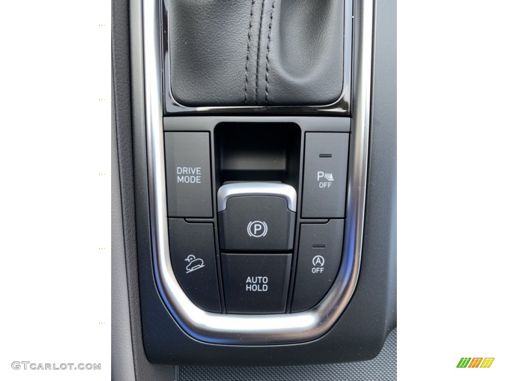 2020 Hyundai Santa Fe SEL AWD Controls Photo #134652023