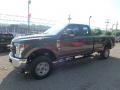Magnetic - F350 Super Duty XL SuperCab 4x4 Photo No. 7