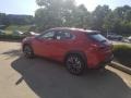 Redline - UX 250h AWD Photo No. 1