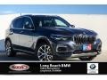 Arctic Grey Metallic - X5 xDrive40i Photo No. 10