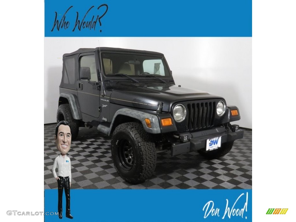 2002 Wrangler Sport 4x4 - Black / Camel Beige photo #1