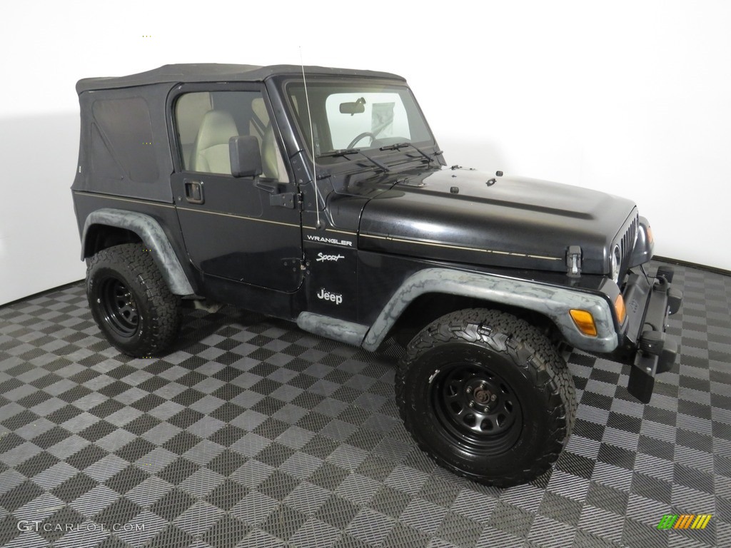2002 Wrangler Sport 4x4 - Black / Camel Beige photo #2