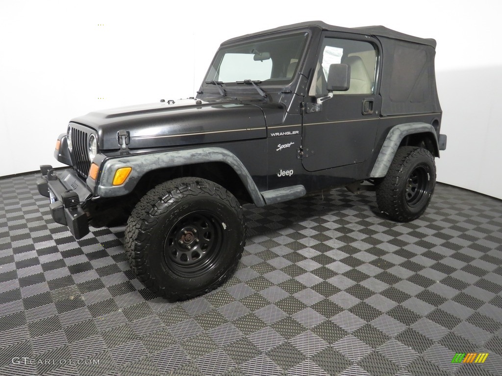 2002 Wrangler Sport 4x4 - Black / Camel Beige photo #7
