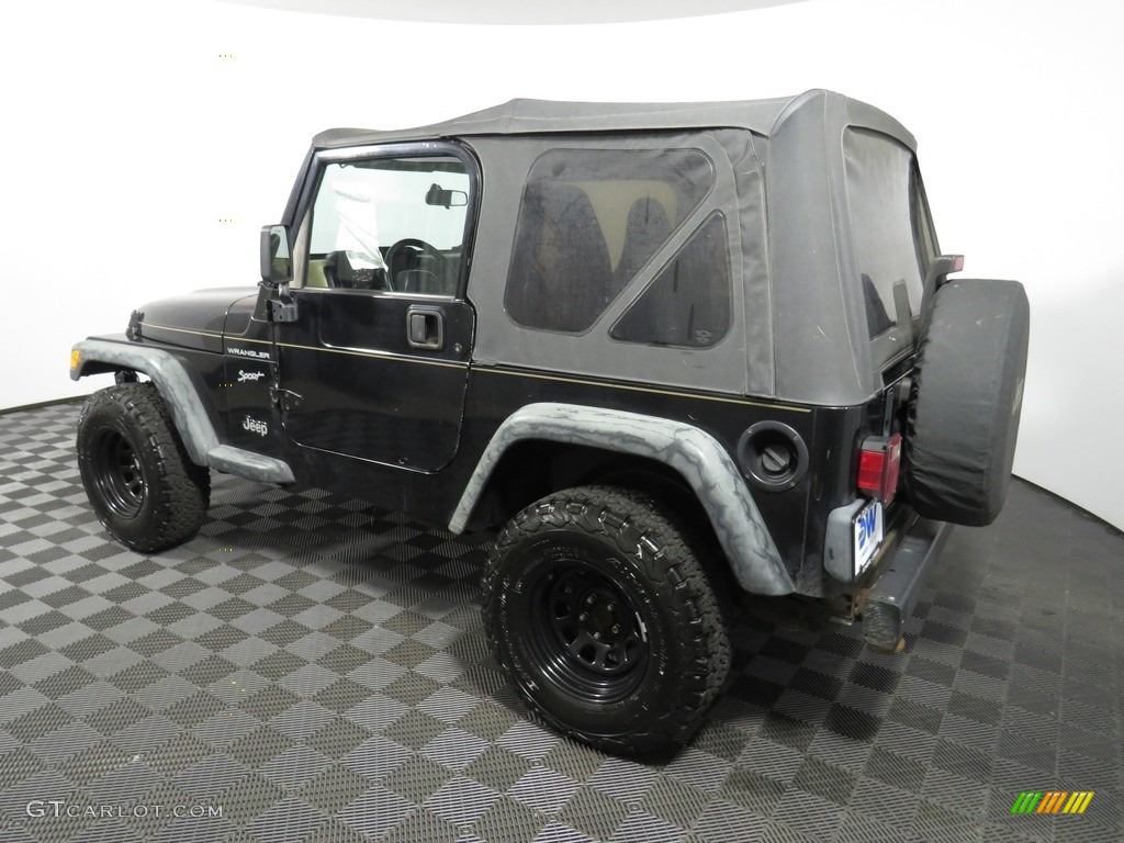 2002 Wrangler Sport 4x4 - Black / Camel Beige photo #9
