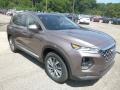 2020 Earthy Bronze Hyundai Santa Fe SEL AWD  photo #3