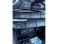 Black Controls Photo for 2020 Hyundai Santa Fe #134706330