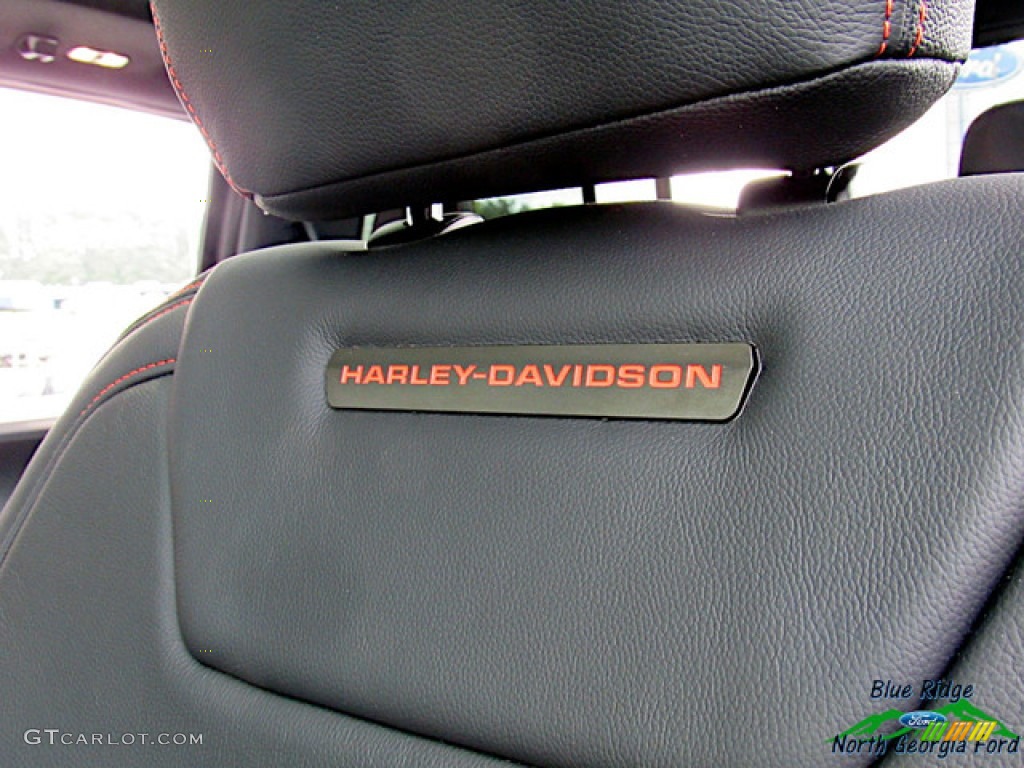 2019 F150 Harley Davidson Edition SuperCrew 4x4 - Lead Foot / Black photo #25