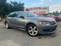Platinum Gray Metallic - Passat 2.5L SE Photo No. 2