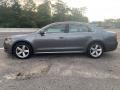 Platinum Gray Metallic - Passat 2.5L SE Photo No. 6