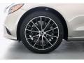 Mojave Silver Metallic - C 300 Sedan Photo No. 9