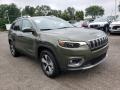 2019 Olive Green Pearl Jeep Cherokee Limited 4x4  photo #1