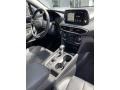 2020 Hyundai Santa Fe Limited AWD Controls