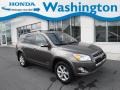 Pyrite Metallic 2010 Toyota RAV4 Limited V6 4WD