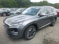 S2C - Machine Gray Hyundai Santa Fe (2020)