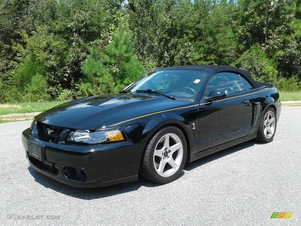 2003 Mustang Cobra Convertible - Black / Dark Charcoal/Medium Graphite photo #3